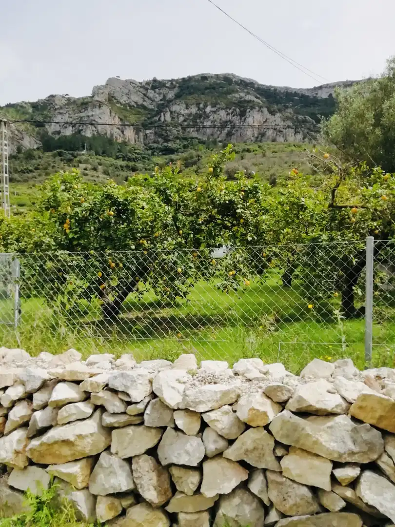 Terreno rústico en venta en Xaló