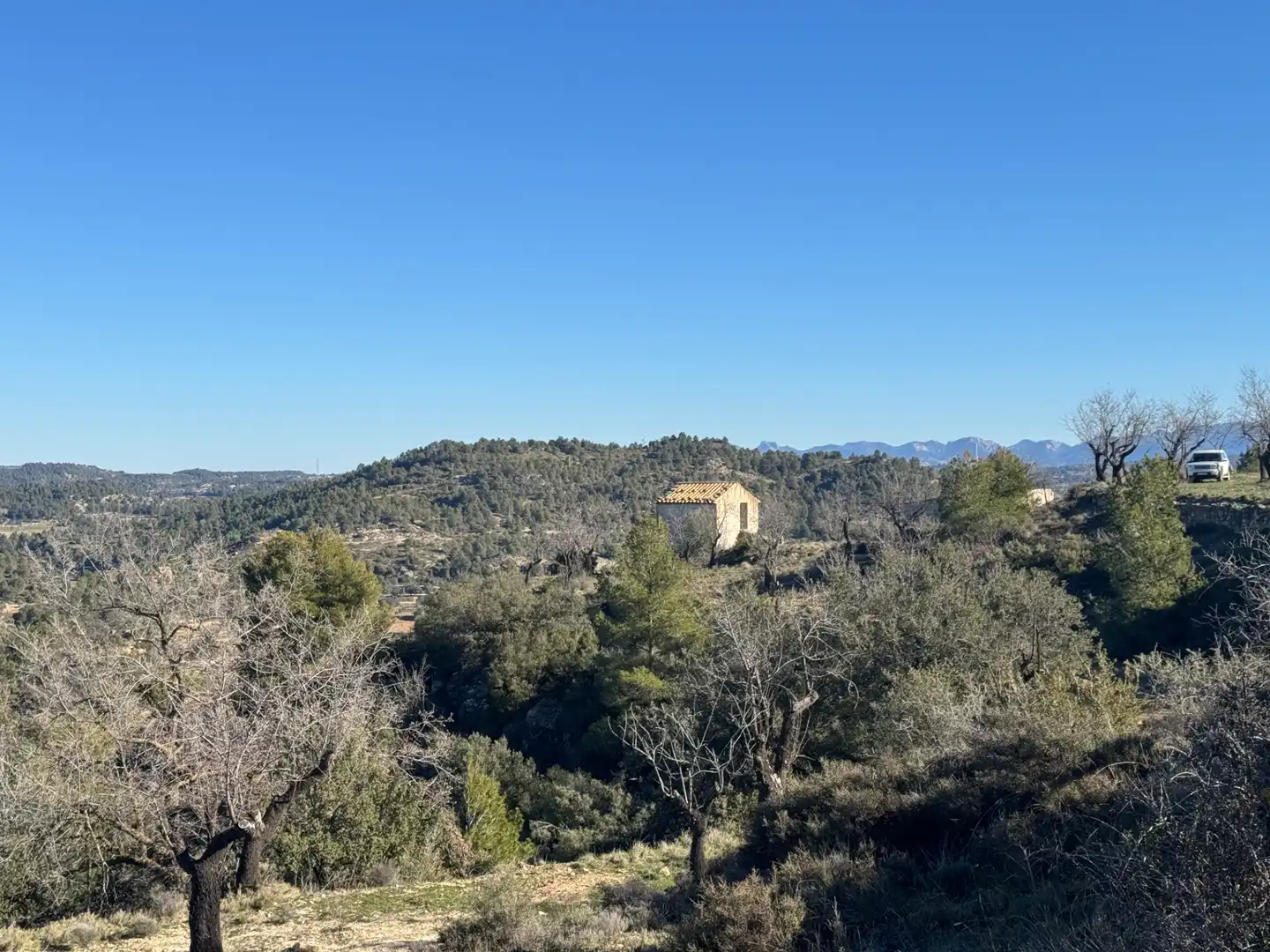 Terreni e lotti in vendita a Valderrobres