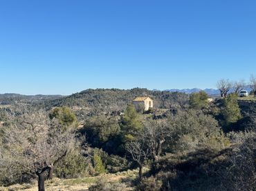 Terreny rústic en venda a Valderrobres