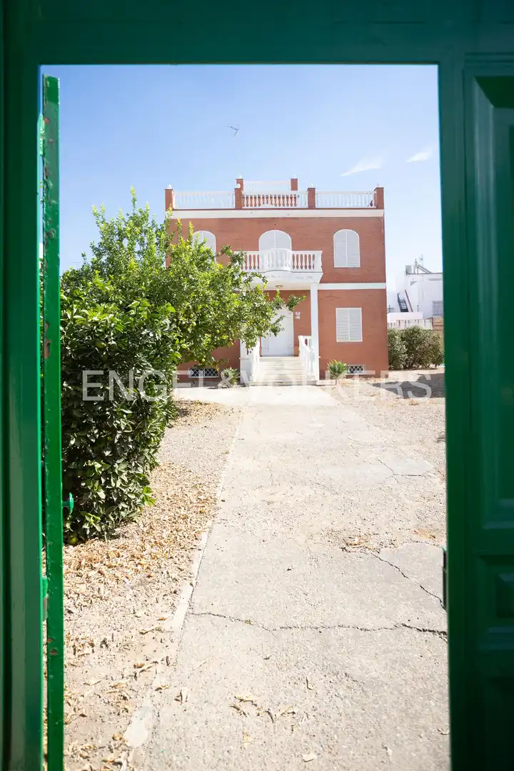 Vista exterior de Casa o chalet en venta en Los Palacios y Villafranca con Aire acondicionado, Calefacción y Jardín privado