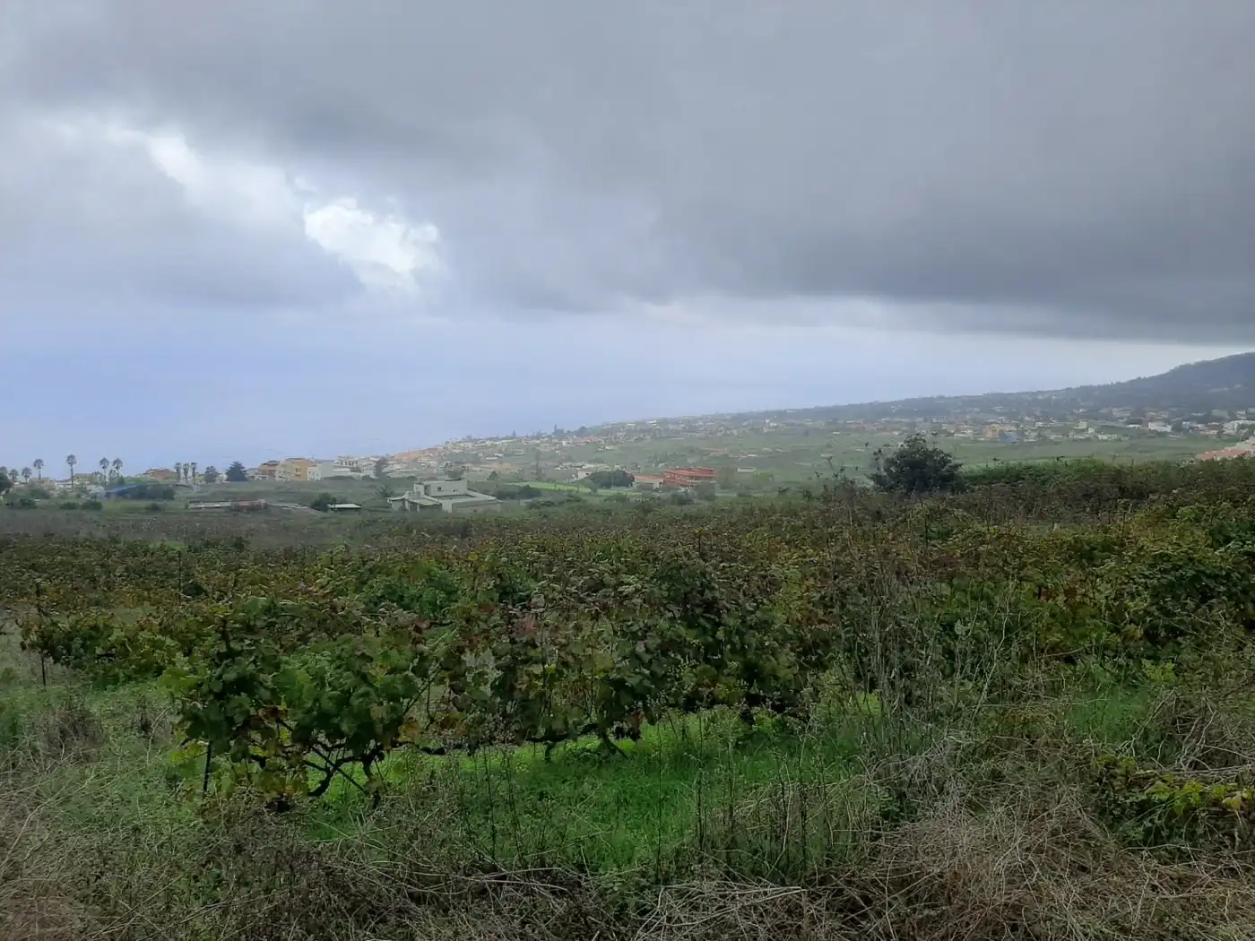 Terreny rústic en venda a CRUZ DE LEANDRO, imagen 14