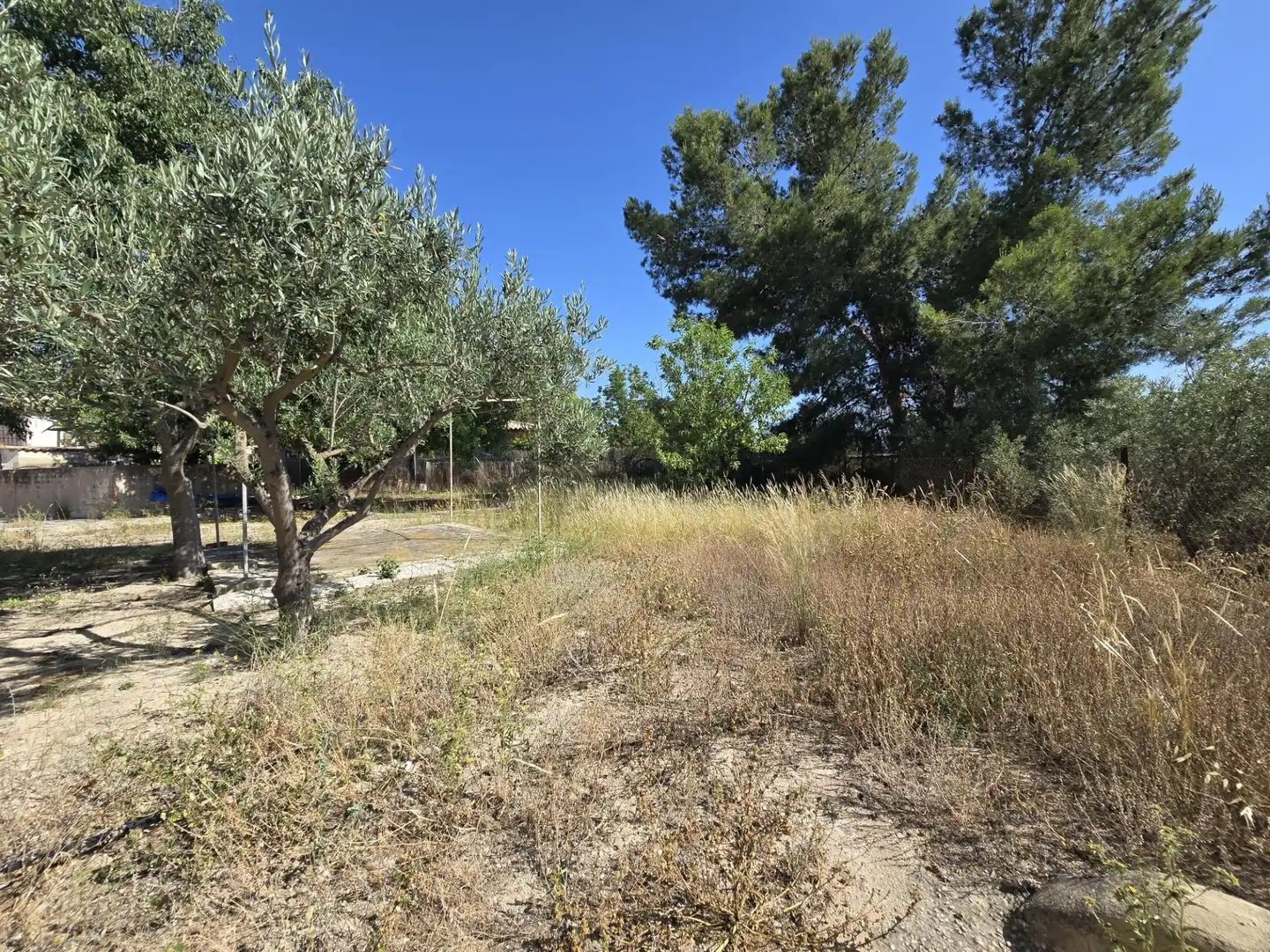 Casa o chalet en venta en Monóvar  / Monòver