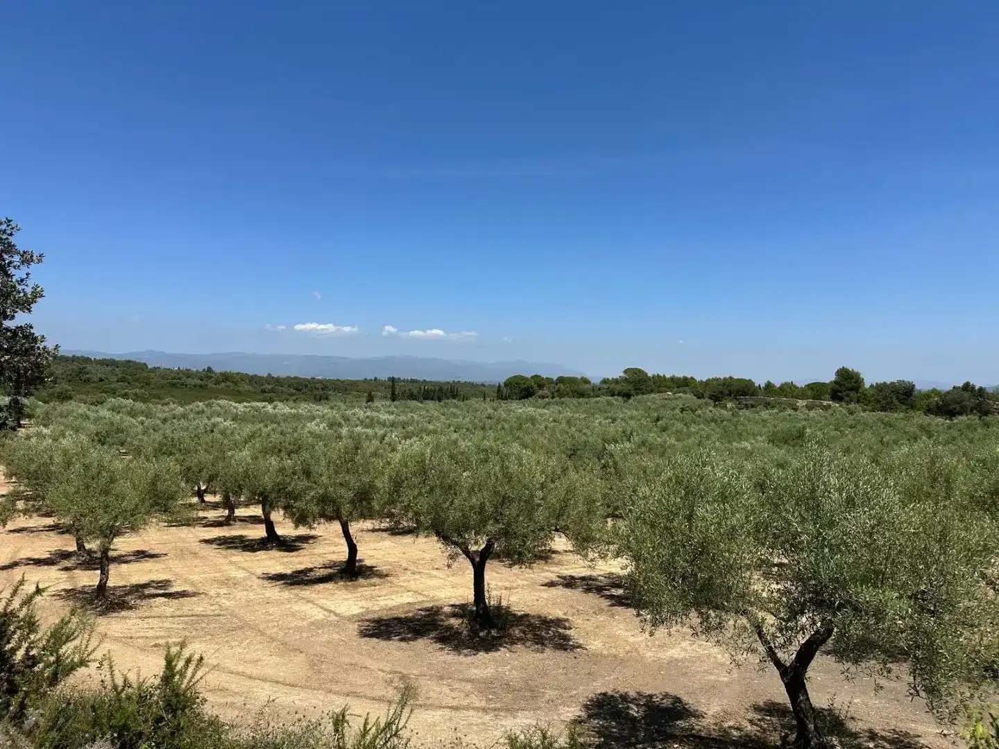 Country house zum Verkauf in San Jorge / Sant Jordi mit Klimaanlage und Schwimmbad