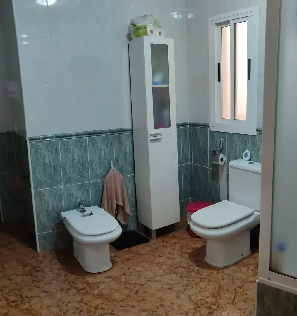 Bathroom of Commercial properties for sale in Lúcar  with Terrace
