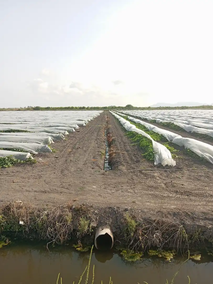 Rural land for sale in N/A, imagen 17