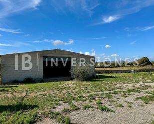 Industrial buildings for sale in Son Moix, Manacor Centre