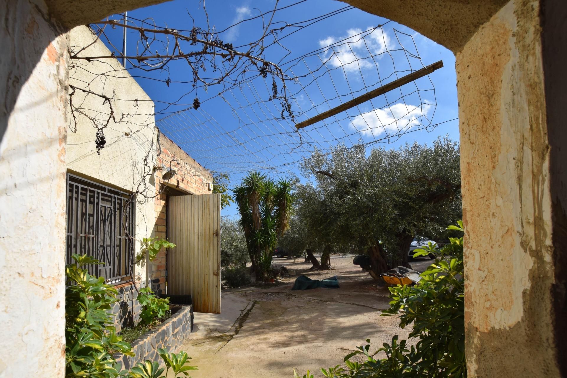 Jardí de Finca rústica en venda en Roquetes amb Alarma