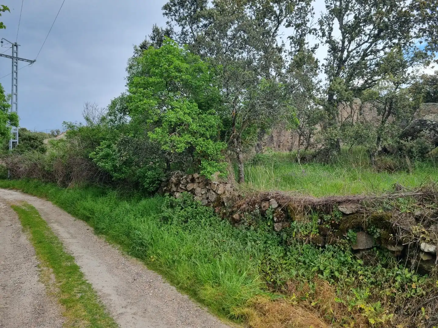 Land for sale in El Vellón