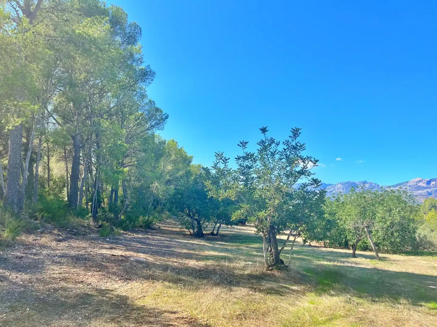 Houses for sale in Aldover