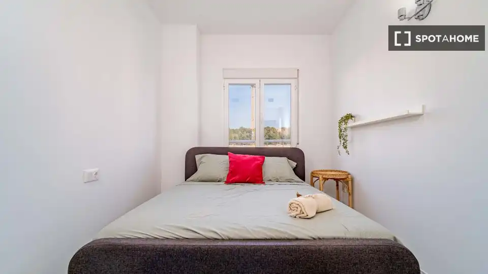 Habitació a Canuta