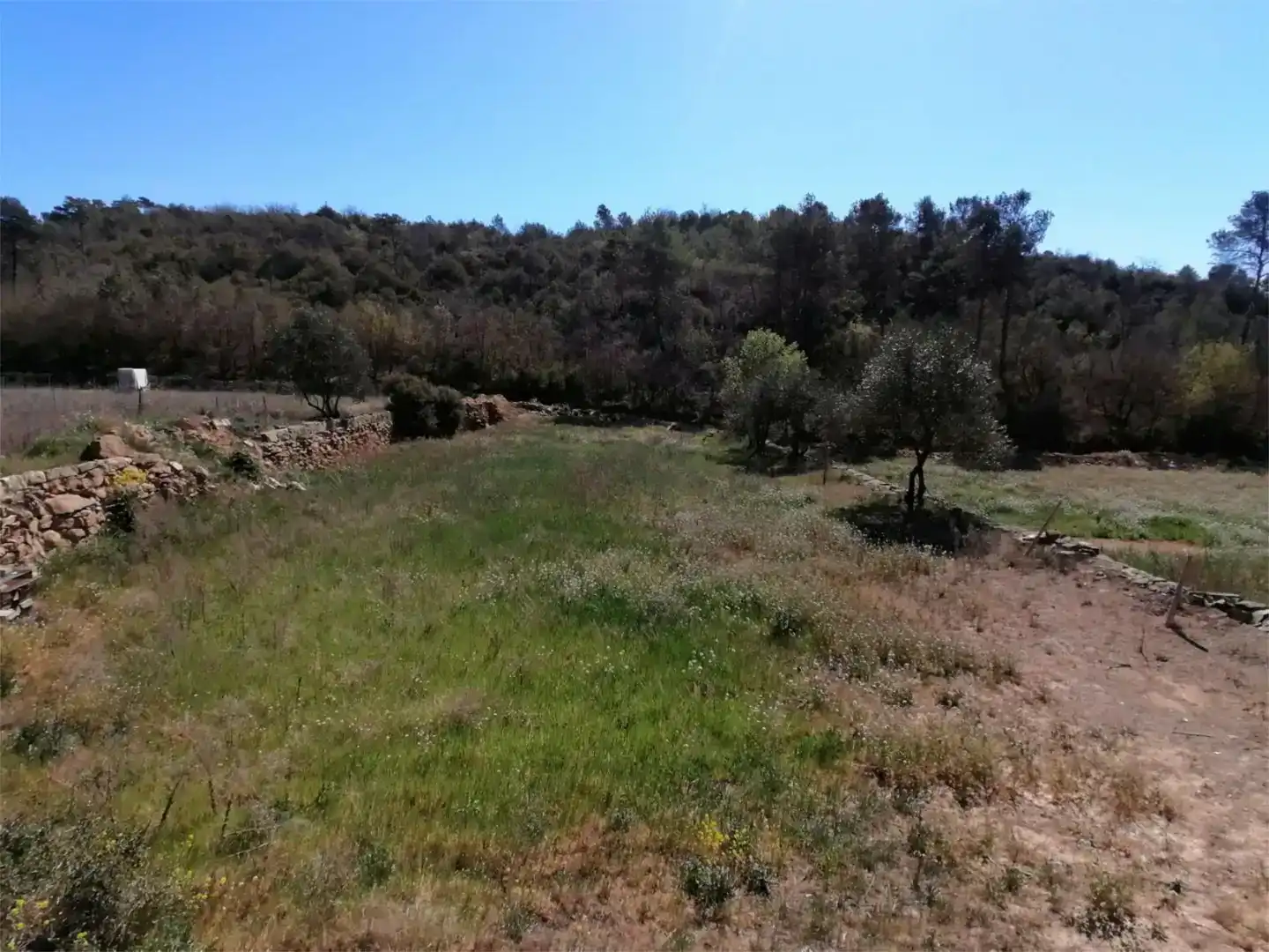 Land for sale in Torà, Lleida