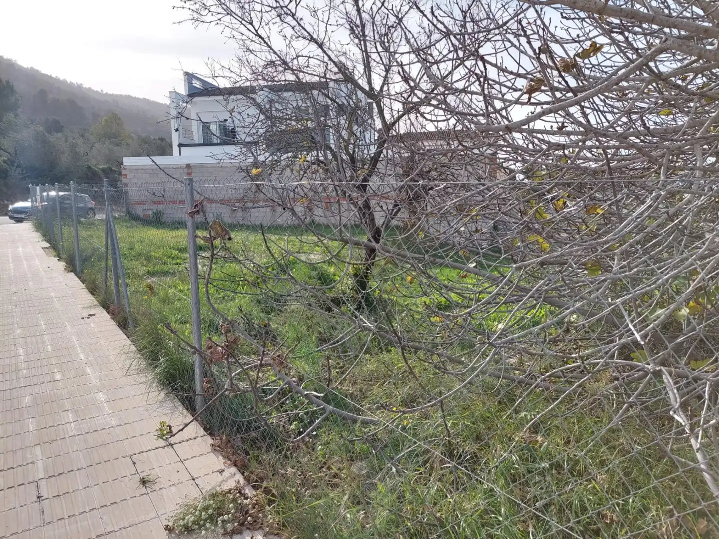 Wohnbaugrundstück zum Verkauf in Calle Maestro Bernardo Martinez, imagen 4
