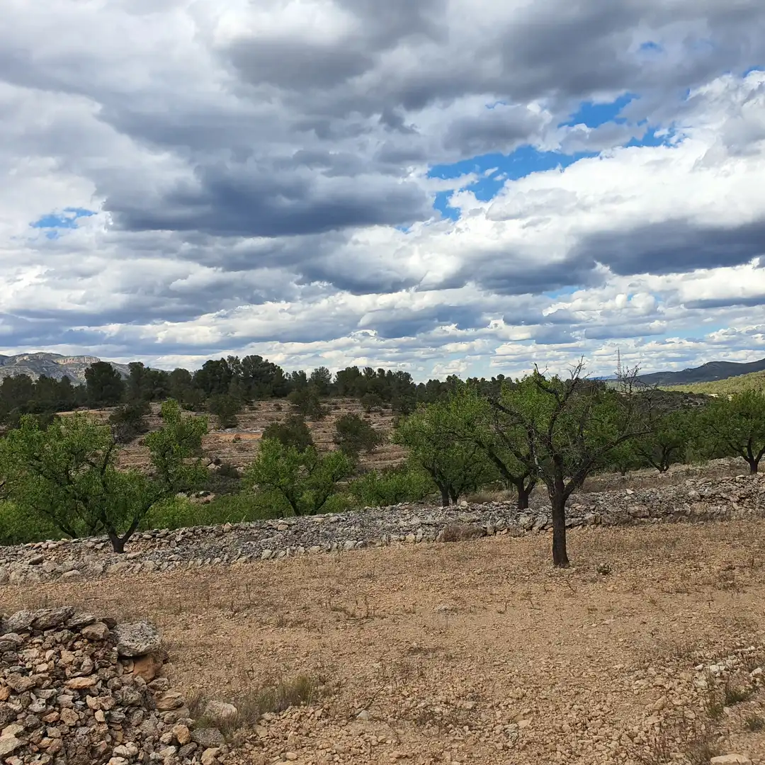 Rural land for sale in El Pinell de Brai, imagen 4