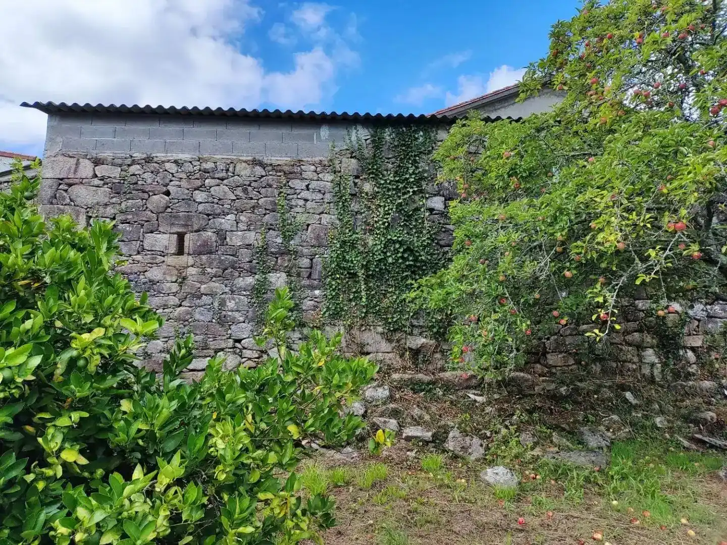 Casa o xalet en venda en Dodro