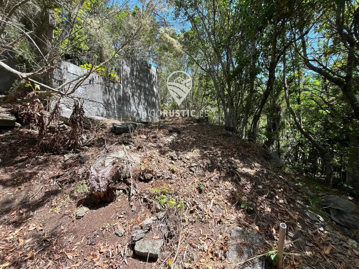 Terreno rústico en venta en Cruz de Tierno, Pol 2; Parc. 344 y 10344, imagen 27
