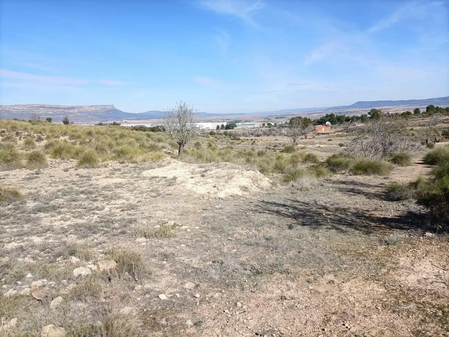 Wohnbaugrundstück zum Verkauf in Almansa, imagen 5