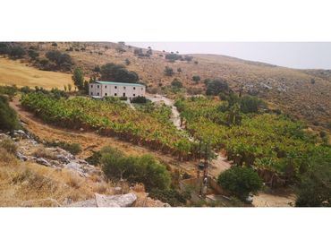 Terreni e lotti in vendita a Cañete la Real