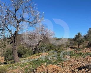 Residencial en venda en Málaga Capital