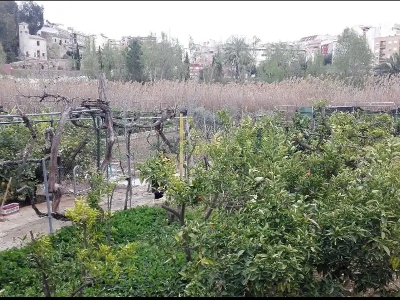 Casa con giardino in vendita a Diseminado Candelon 658, imagen 6