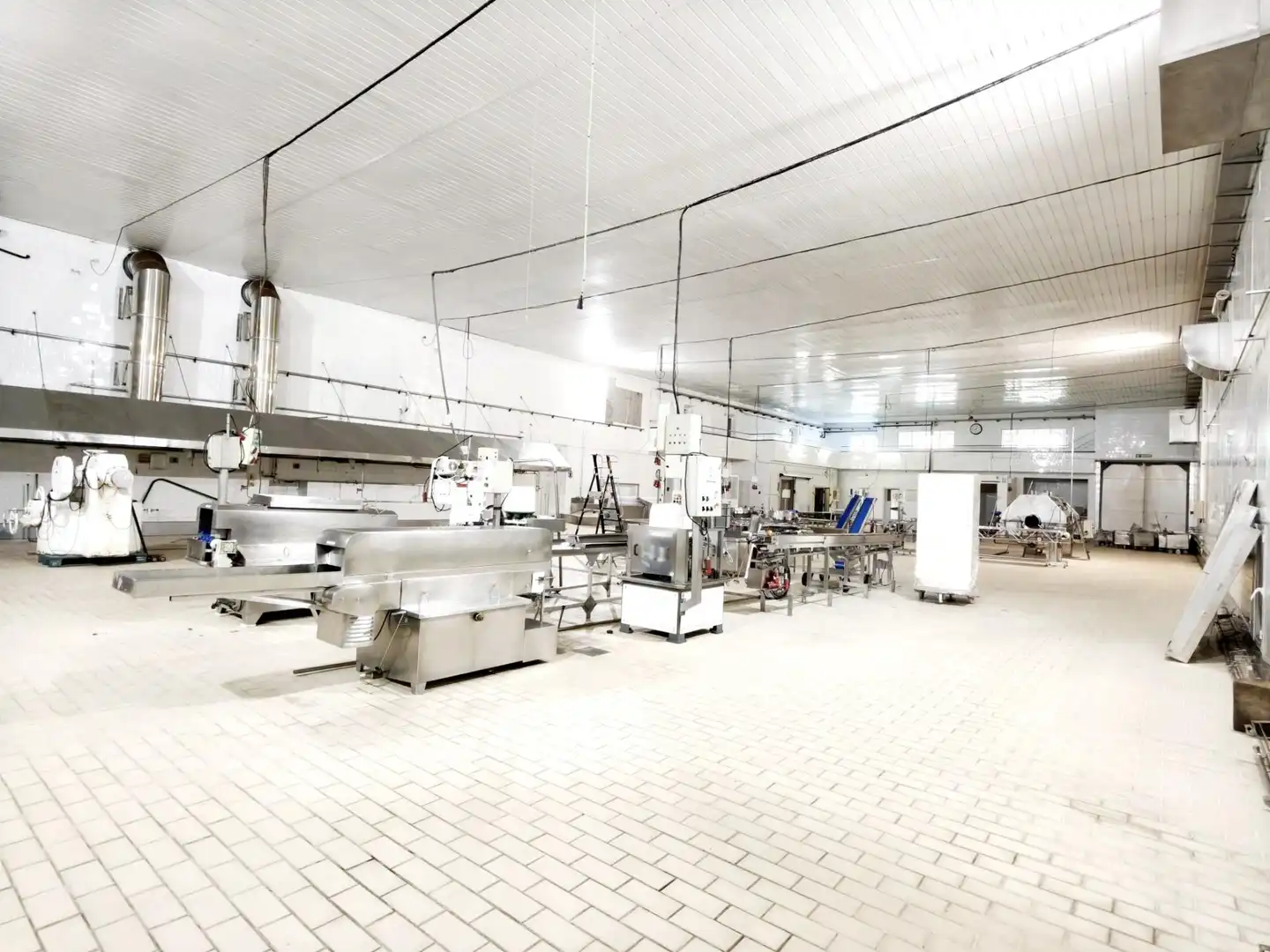 Industriegebäude zum Verkauf in Tapia de Casariego, imagen 3