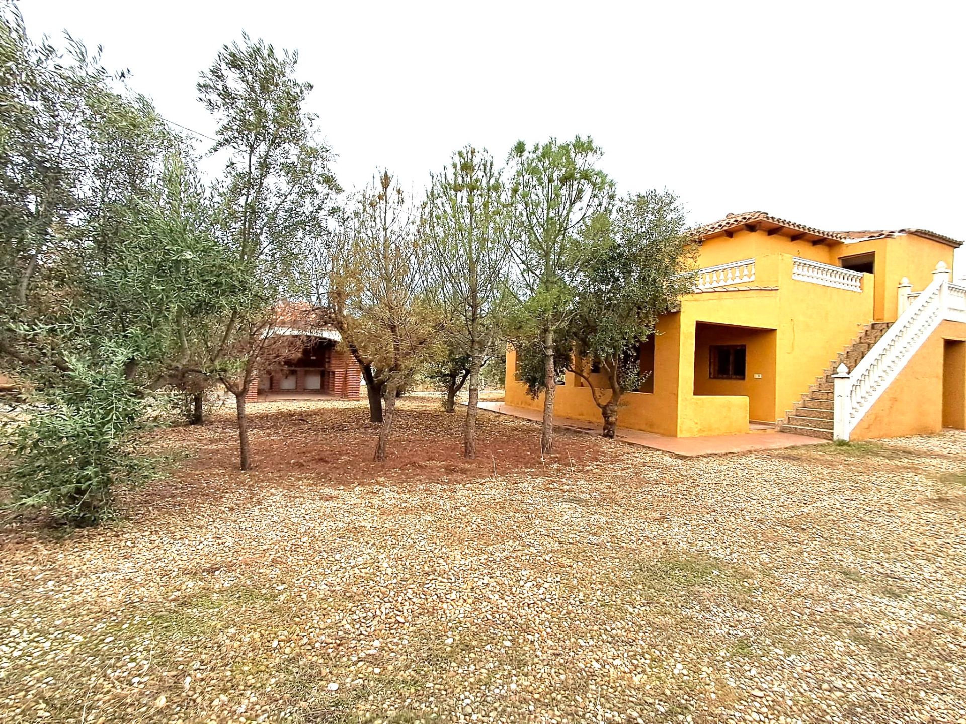 Vista exterior de Finca rústica en venta en Fiñana