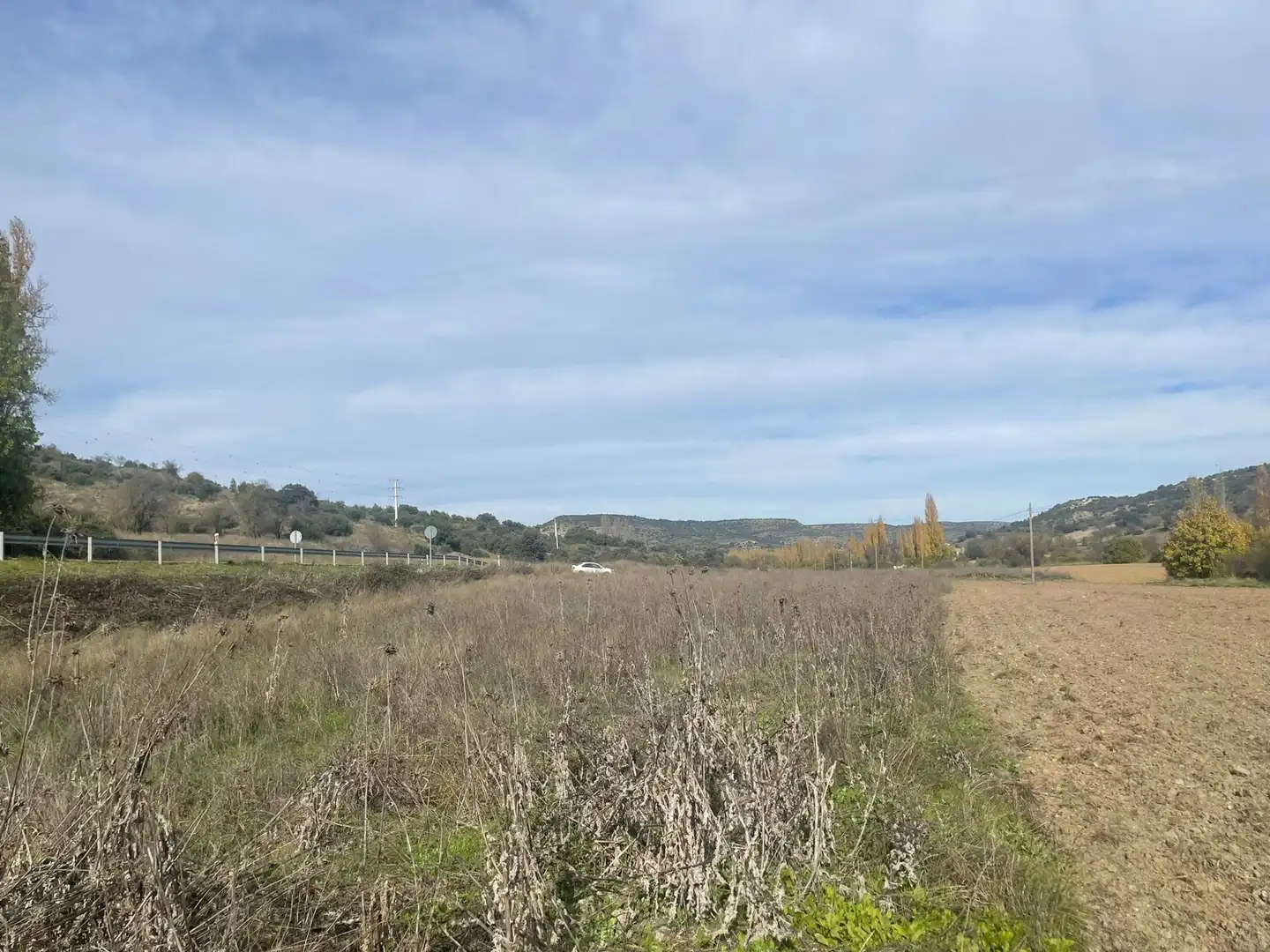 Rural land for sale in Orusco de Tajuña, imagen 14
