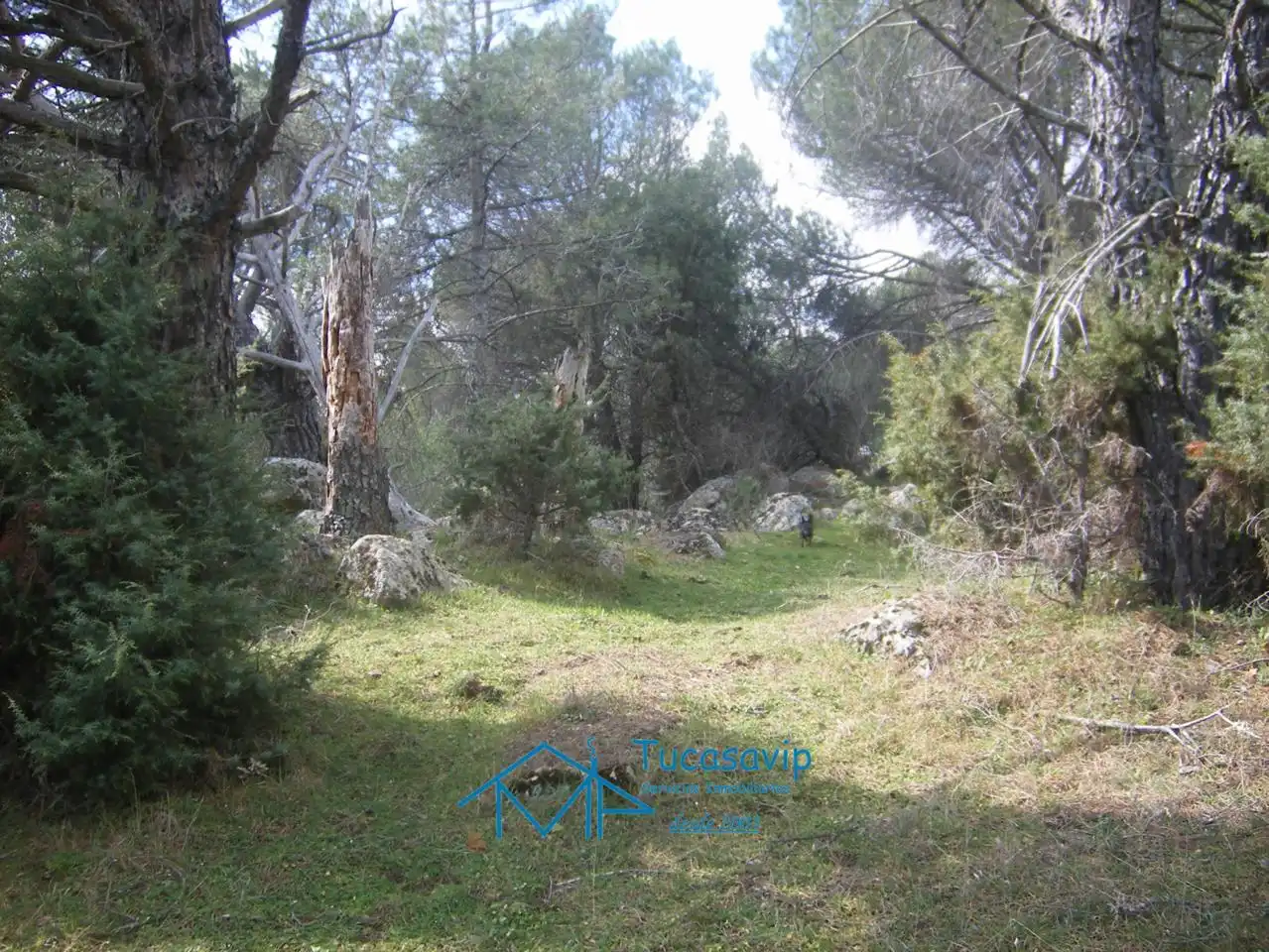 Terreni e lotti in vendita a Cebreros, imagen 13