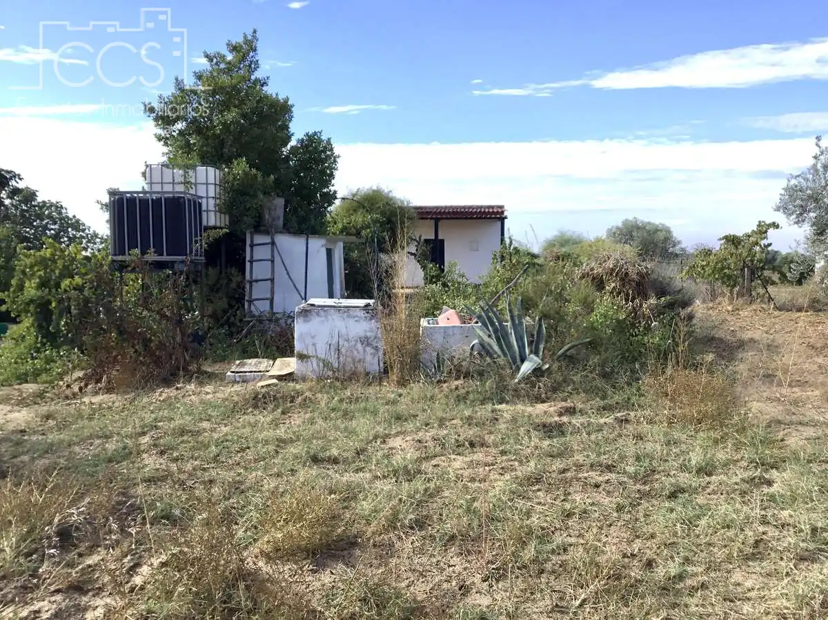 Country house for sale in Almonte ciudad, imagen 24