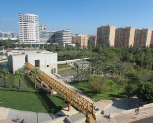 Flat to rent in Passeig de la Petxina, 62, Nou Moles