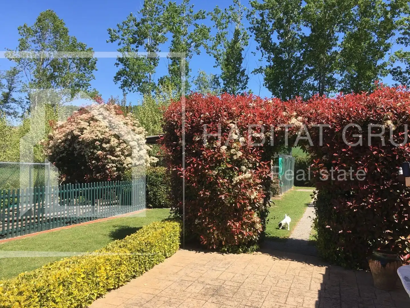 Terrenos y solares en venta en Maçanet de la Selva pueblo, imagen 17