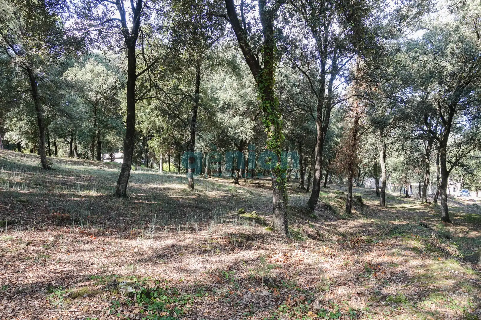 Terreno residenziale in vendita a Diseminado Afueras, imagen 13