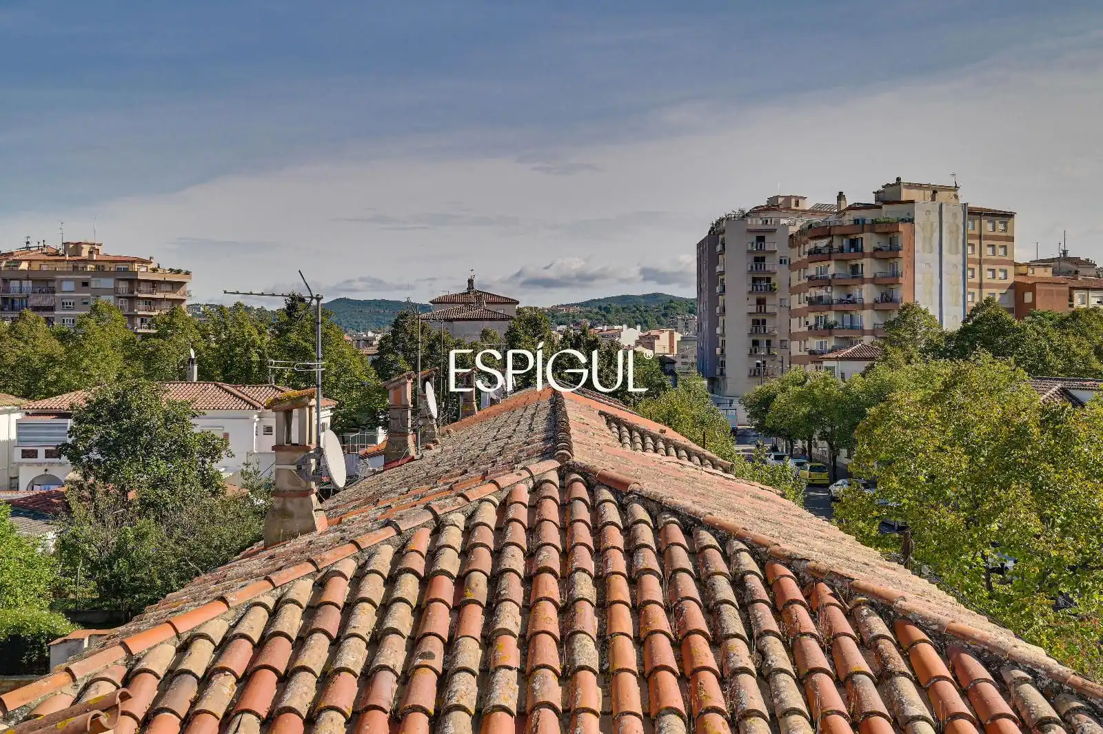 Casa o xalet en venda en Sant Narcís