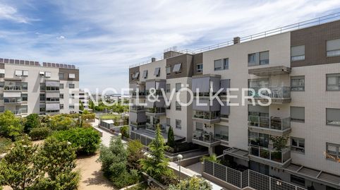 Foto 2 de Piso de alquiler en Tempranales, San Sebastián de los Reyes