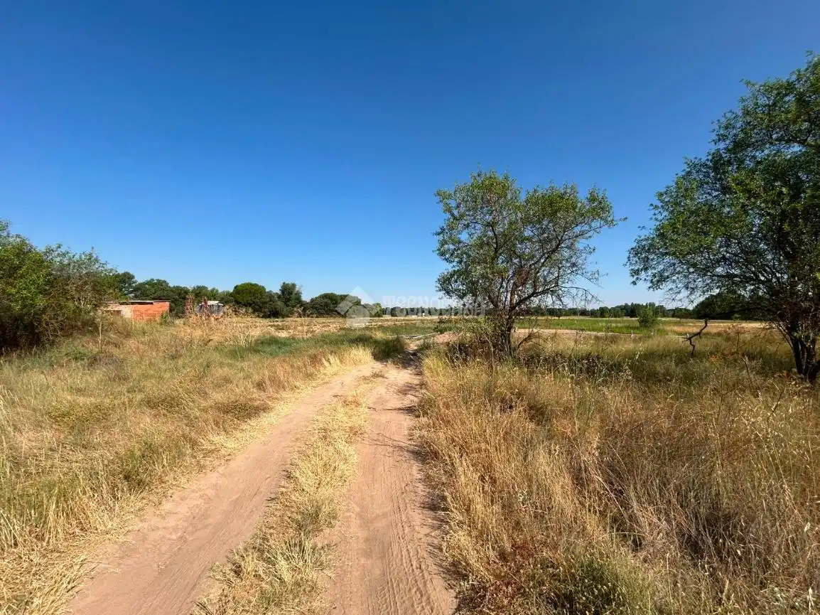 Rural land for sale in Laguna de Duero, imagen 12