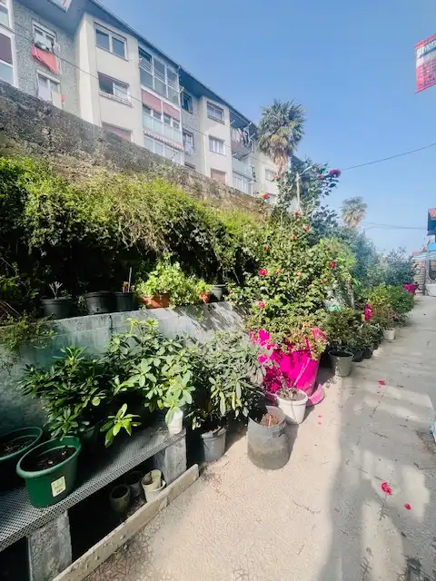 Jardín de Piso en venta en Donostia - San Sebastián  con Amueblado y Balcón