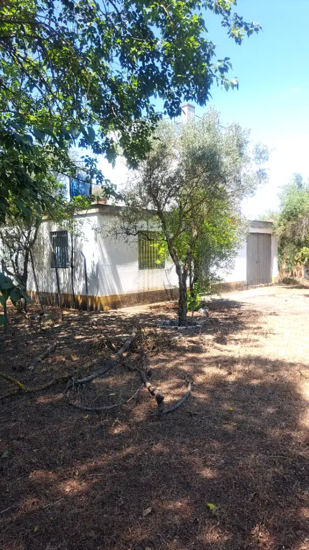 Casa rustica con giardino in vendita a Pedanías Norte, imagen 11
