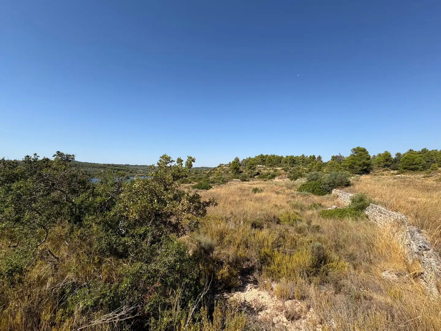 Terreno rustico in vendita a Cervià de Les Garrigues, imagen 43
