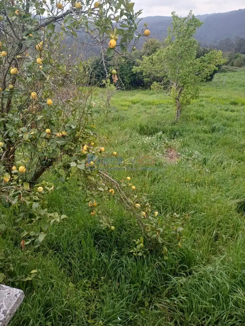 Casa rústica amb jardí en venda a Neda, imagen 4