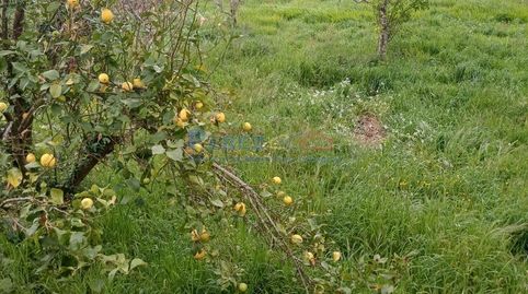 Foto 4 de Finca rústica en venta en Neda, A Coruña