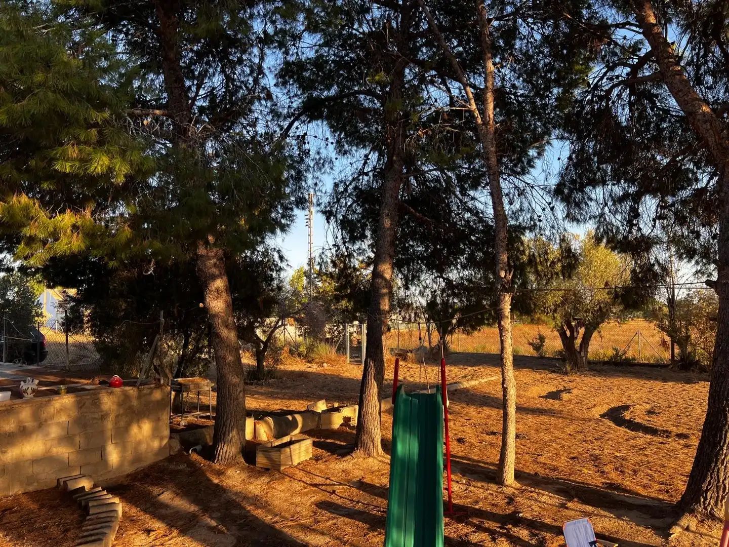 Jardí de Casa o xalet en venda en Elche / Elx amb Jardí privat, Terrassa i Traster