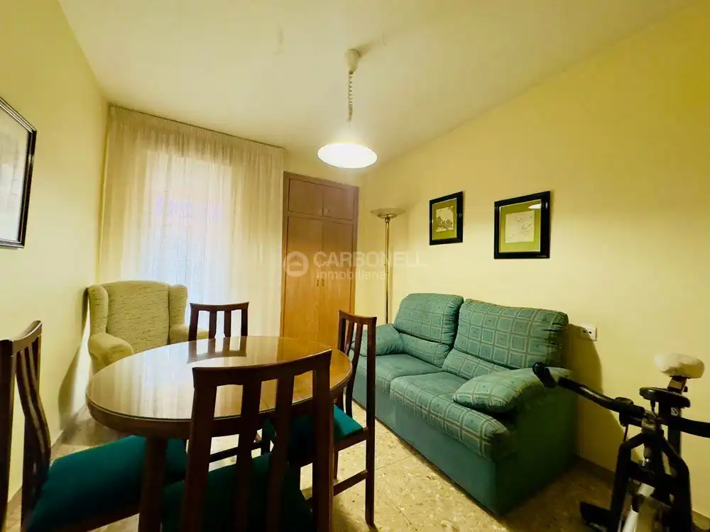 Flat with lift for sale in Santa Rosa, imagen 18