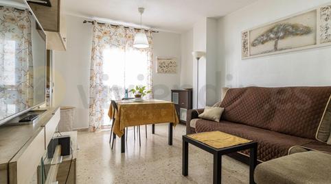 Photo 3 of Flat to rent in Pago San José - Princi - Jerez, Jerez de la Frontera