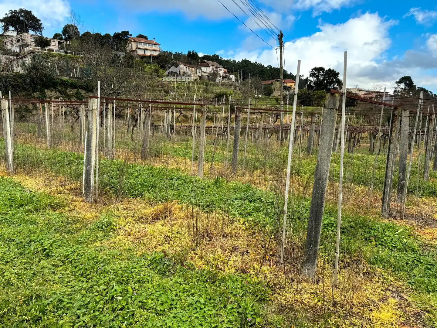 Rural land for sale in Arbo, imagen 34