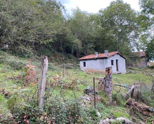 Finca rústica en venda en Cangas de Onís