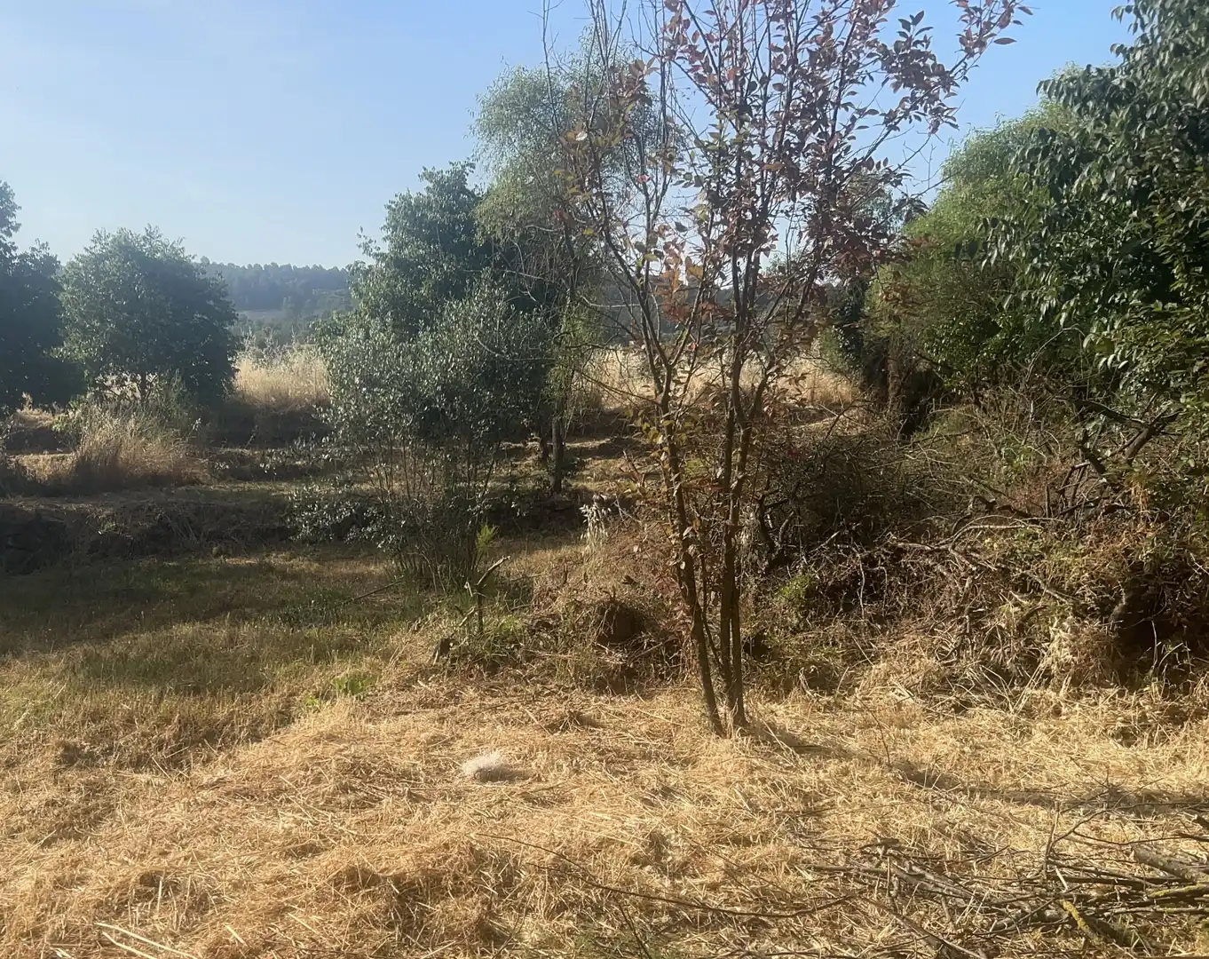 Wohnbaugrundstück zum Verkauf in Artés, imagen 9