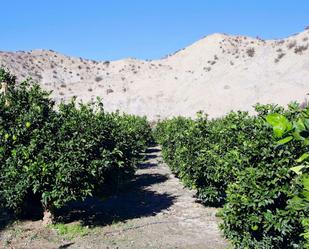 Exterior view of Land for sale in Terque