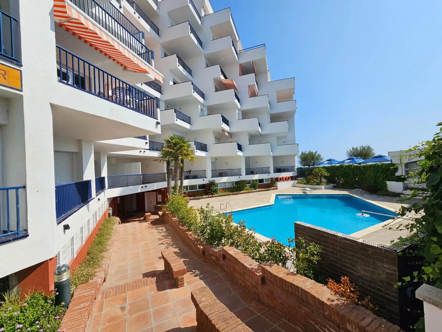 Swimming pool of Commercial properties for sale in L'Escala  with Terrace