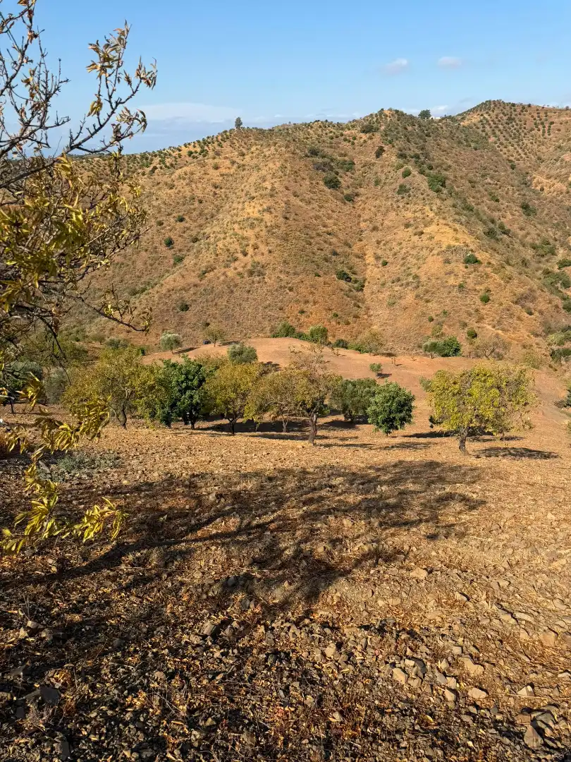 Terreni e lotti in vendita a Lugar Poligono 2, imagen 3