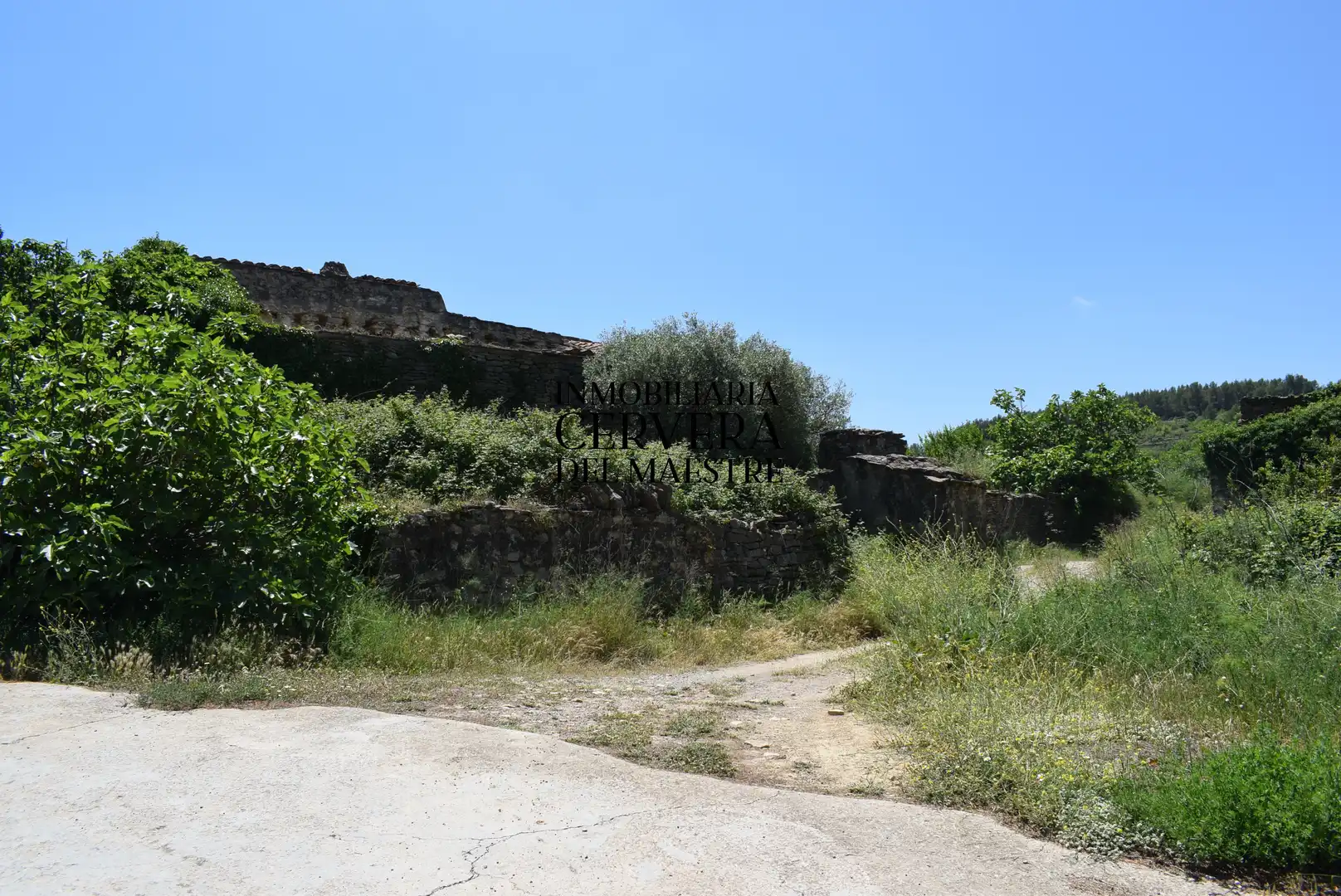 Finca rústica en venta en Xert