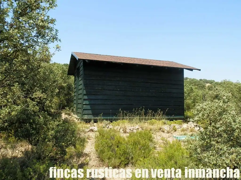Rustikales Grundstück zum Verkauf in Alcocer, imagen 17